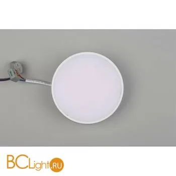 Потолочный светильник Aployt Evon APL.0113.09.12 - Фото 4