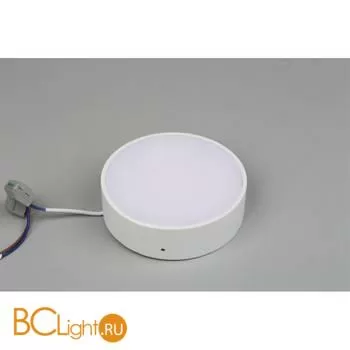 Потолочный светильник Aployt Evon APL.0113.09.12 - Фото 2