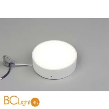 Потолочный светильник Aployt Evon APL.0113.09.12 - Фото 1