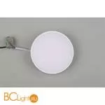 Потолочный светильник Aployt Evon APL.0113.09.12 - Фото 4