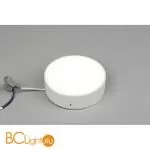 Потолочный светильник Aployt Evon APL.0113.09.12 - Фото 1