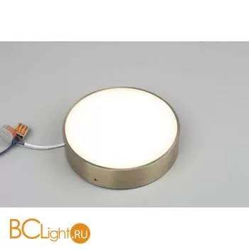 Потолочный светильник Aployt Evon APL.0113.29.18 - Фото 3