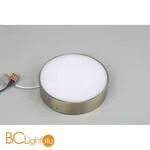 Потолочный светильник Aployt Evon APL.0113.29.18 - Фото 2