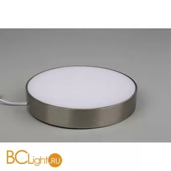 Потолочный светильник Aployt Evon APL.0114.19.24 - Фото 3