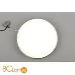 Потолочный светильник Aployt Evon APL.0114.19.24 - Фото 4