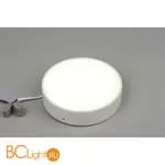 Потолочный светильник Aployt Evon APL.0113.09.18 - Фото 2