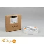 Потолочный светильник Aployt Evon APL.0113.09.18 - Фото 7