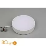 Потолочный светильник Aployt Evon APL.0113.09.18 - Фото 1