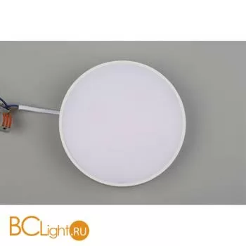 Потолочный светильник Aployt Evon APL.0114.09.18 - Фото 5