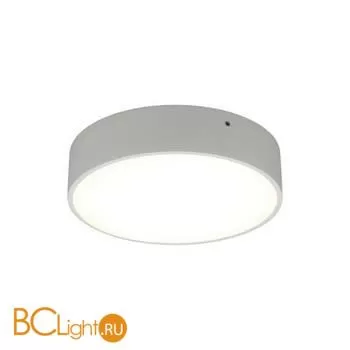 Потолочный светильник Aployt Evon APL.0114.09.18 - Фото 8