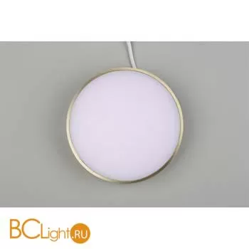 Потолочный светильник Aployt Evon APL.0114.29.18 - Фото 4