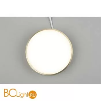 Потолочный светильник Aployt Evon APL.0114.29.18 - Фото 5