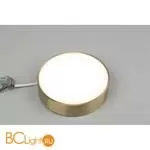 Потолочный светильник Aployt Evon APL.0114.29.18 - Фото 1