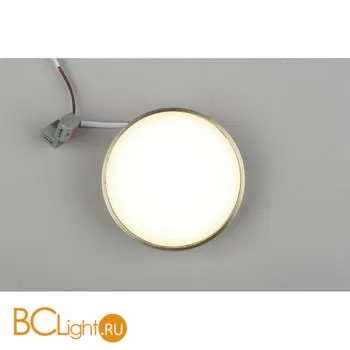 Потолочный светильник Aployt Evon APL.0113.29.12 - Фото 4