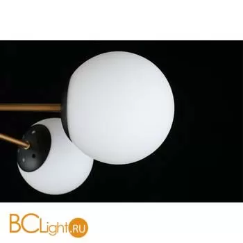 Люстра Aployt Ewka APL.906.17.07 - Фото 11