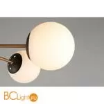 Люстра Aployt Ewka APL.906.17.07 - Фото 4