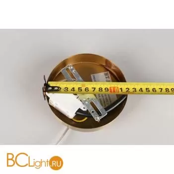 Подвесной светильник Aployt Federica APL.600.16.01 - Фото 8