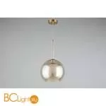 Подвесной светильник Aployt Federica APL.600.16.01 - Фото 2