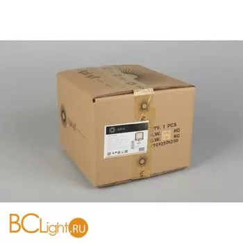 Бра Aployt Flavi APL.753.01.01 - Фото 17