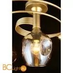 Люстра Aployt Flor APL.611.07.06 - Фото 10