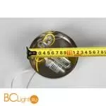 Подвесной светильник Aployt Floret APL.703.06.01 - Фото 8