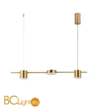 Подвесной светильник Aployt Frania APL.017.13.18