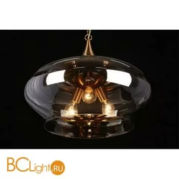 Подвесной светильник Aployt Franko APL.601.16.03 - Фото 7