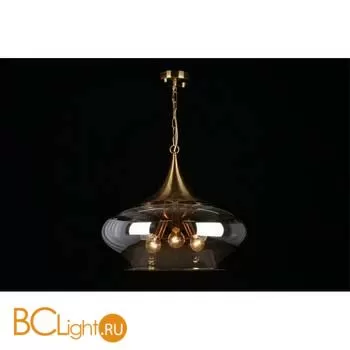 Подвесной светильник Aployt Franko APL.601.16.03 - Фото 9