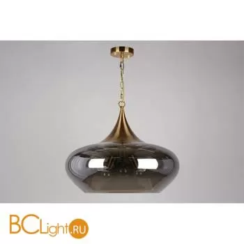 Подвесной светильник Aployt Franko APL.601.16.03 - Фото 2