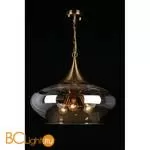 Подвесной светильник Aployt Franko APL.601.16.03 - Фото 6