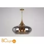 Подвесной светильник Aployt Franko APL.601.16.03 - Фото 3