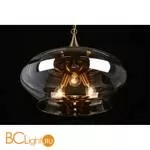 Подвесной светильник Aployt Franko APL.601.16.03 - Фото 7