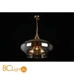 Подвесной светильник Aployt Franko APL.601.16.03 - Фото 8