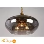 Подвесной светильник Aployt Franko APL.601.16.03 - Фото 4