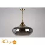 Подвесной светильник Aployt Franko APL.601.16.03 - Фото 2