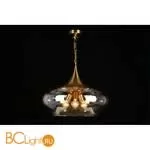 Подвесной светильник Aployt Franko APL.601.06.03 - Фото 4