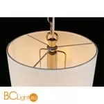 Подвесной светильник Aployt Franula APL.724.06.01 - Фото 14