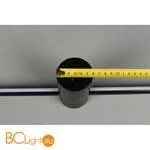 Бра Aployt Gabi APL.0124.01.20 - Фото 9