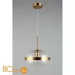 Подвесной светильник Aployt Gabriela APL.305.06.01 - Фото 1