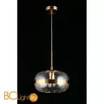 Подвесной светильник Aployt Gabriela APL.305.06.01 - Фото 5