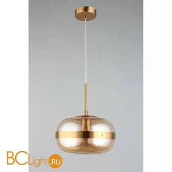 Подвесной светильник Aployt Gabriela APL.305.16.01 - Фото 1