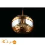 Подвесной светильник Aployt Gabriela APL.305.16.01 - Фото 7