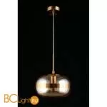 Подвесной светильник Aployt Gabriela APL.305.16.01 - Фото 5