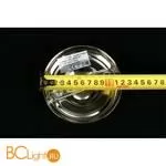 Бра Aployt Gaell APL.704.01.01 - Фото 4