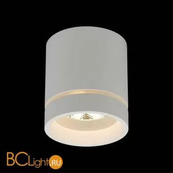 Спот Aployt Gita APL.0043.09.05 - Фото 5