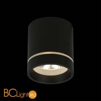 Спот Aployt Gita APL.0043.19.05 - Фото 6