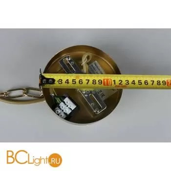 Люстра Aployt Greta APL.912.13.07 - Фото 12