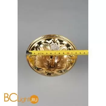 Люстра Aployt Helcia APL.756.07.06 - Фото 10