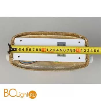 Бра Aployt Hloya APL.800.01.02 - Фото 15