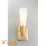 Бра Aployt Hloya APL.800.01.01 - Фото 5